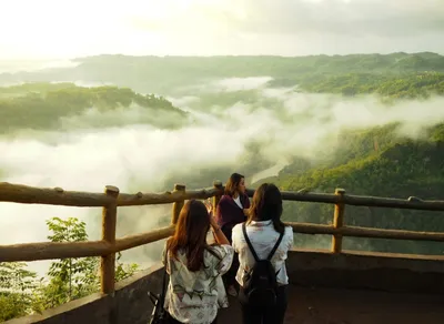 Unleash Your Adventure with TrailBuddy Trekking Pole – A Must-Have for Outdoor Enthusiasts!