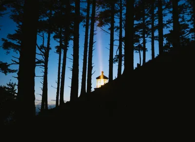 Uncover the Mysteries of Temple Trekking: A Unique Adventure Awaits!