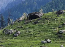 Discover the Best Scandi Trekker Tops for Your Adventurous Journey