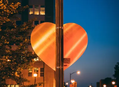 Improve Your Hiking Experience with Fizan Trekking Pole - Ultimate Guide