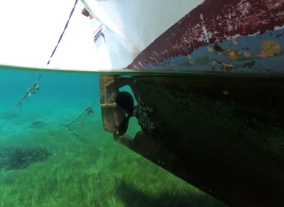 Experience the Best Trekking in Evia with Trekking Hellas!