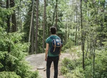 Discover the Perfect Trail Buddy Trekking Pole for Your Adventure!