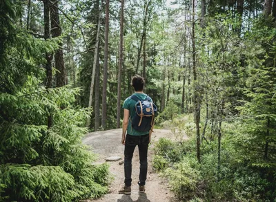 Discover the Perfect Trail Buddy Trekking Pole for Your Adventure!