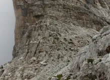 Master the Outdoors with Trekking Pole Shooting Sticks!