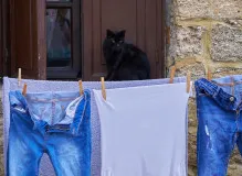 Experience the Thrill of Trekking Hellas Rhodes - Uncover the Natural Wonders!